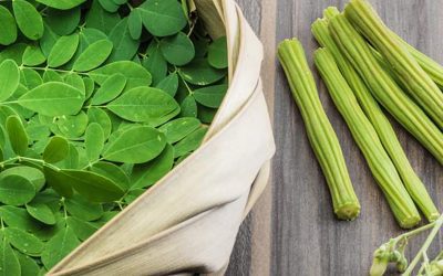 Moringa