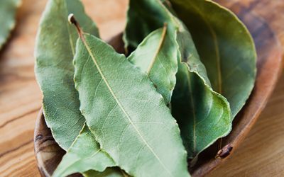 Bay Leaf