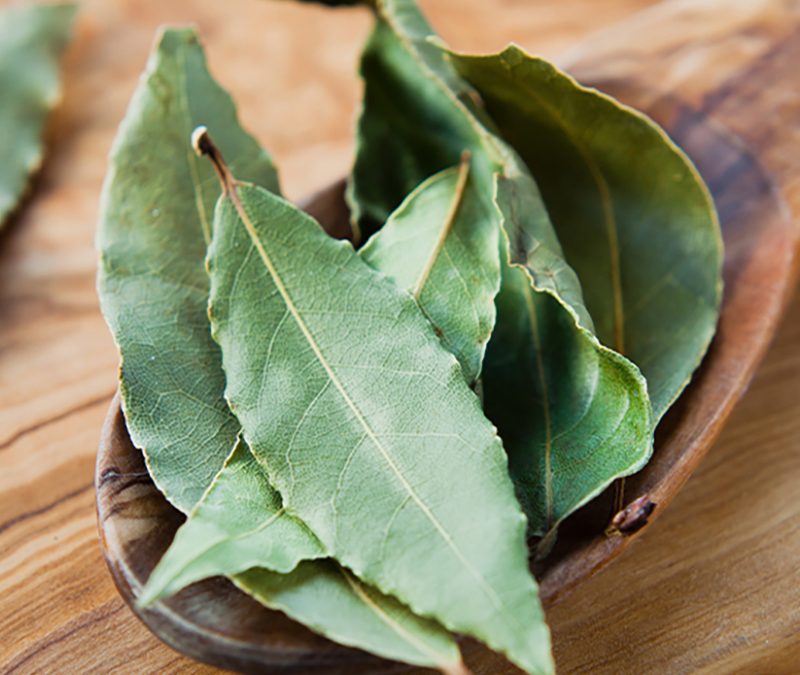 Bay Leaf