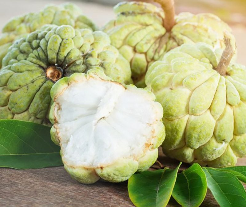 Custard Apple