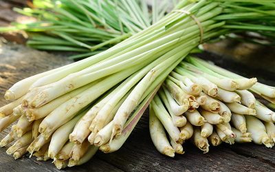 Lemongrass