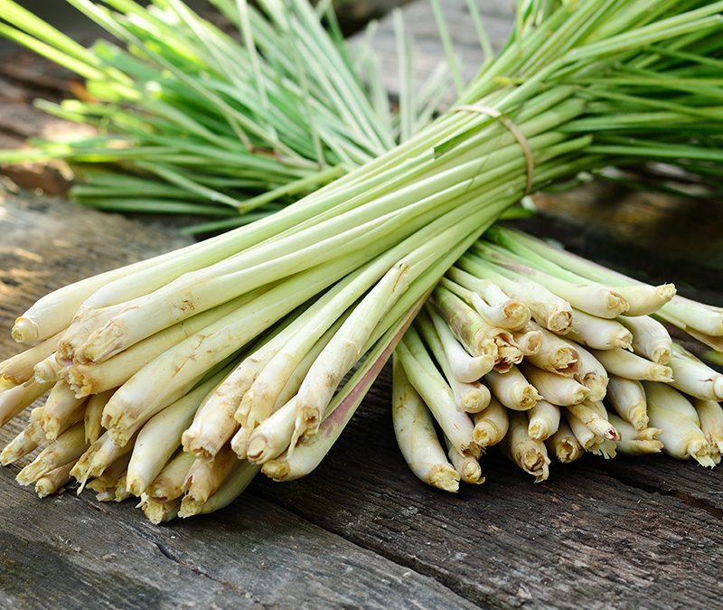 Lemongrass