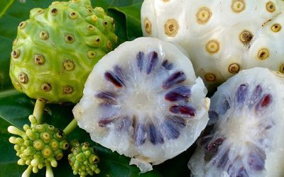 Noni