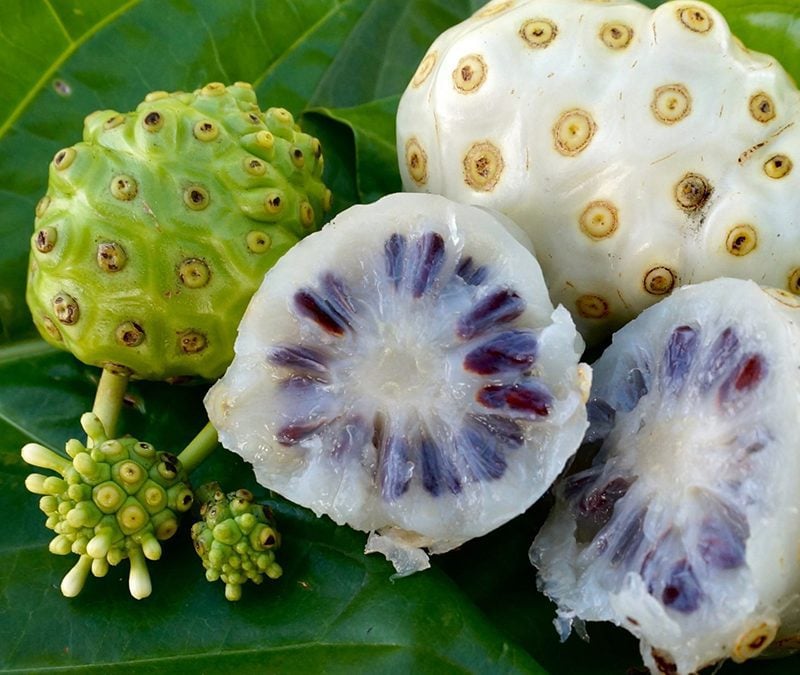 Noni