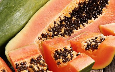 Papaya