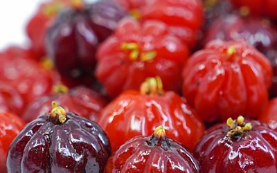 Suriname Cherry