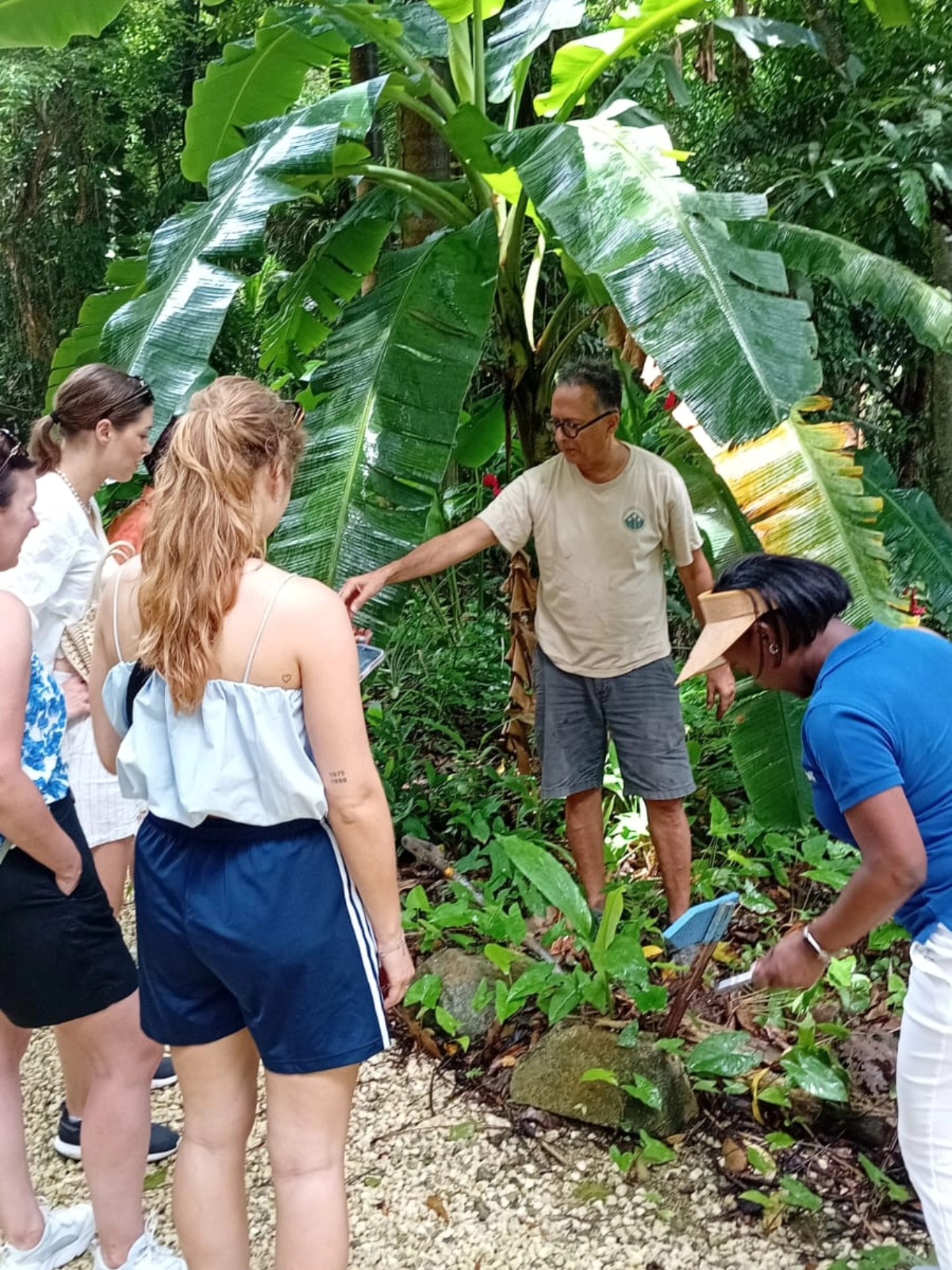 coco hill rum hiking7
