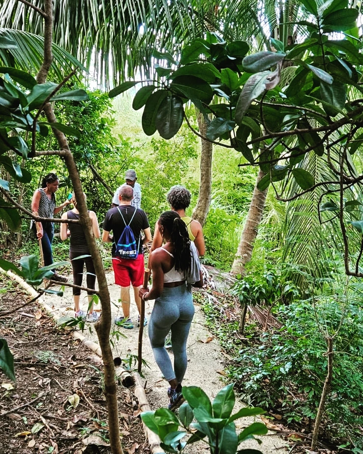 cocohill forest bathing